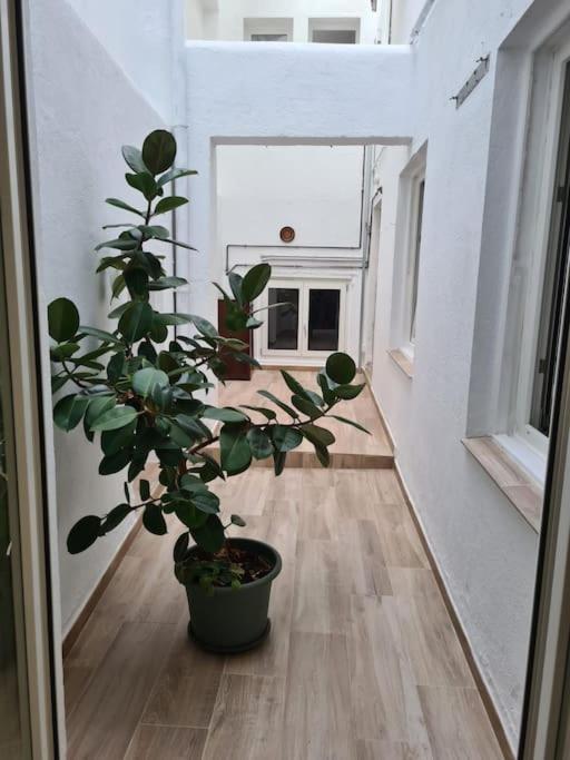 Apartamento Centrico Pontevedra Apartment Exterior photo